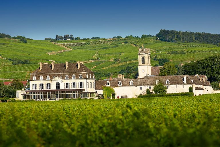 5 domaines viticoles à visiter en Bourgogne